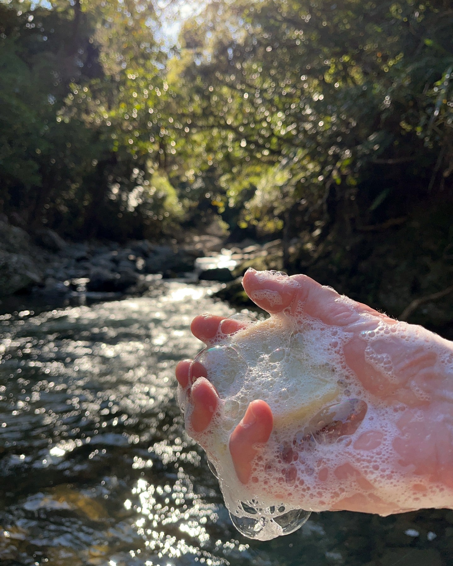 forest fresh